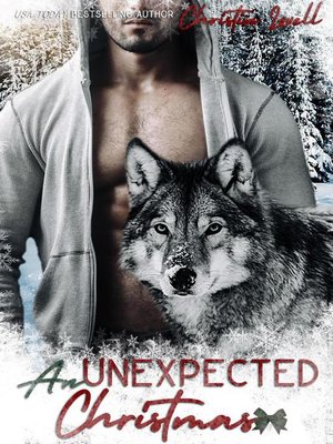 cover image of An Unexpected Christmas